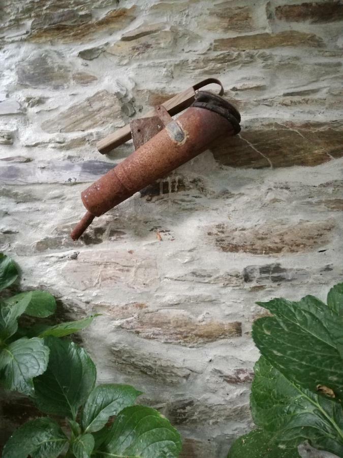 O Ze Ja Dormiu Aqui Βίλα Celeiros Εξωτερικό φωτογραφία